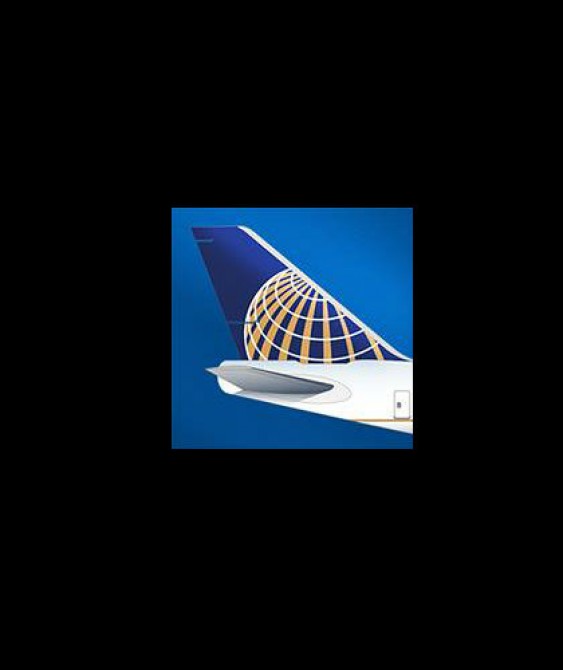 United Air Lines Inc